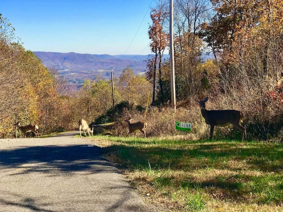 Blue Ridge Parkway Panoramic Paradise-60 Mile View Fancy Gap Buitenkant foto